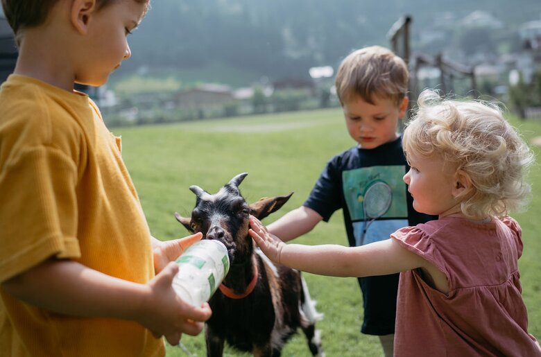 Kinder streicheln und fuettern Ziege | © Urlaub am Bauernhof/ Nadja Jabli Kinder streicheln und fuettern Ziege | © Urlaub am Bauernhof/ Nadja Jabli