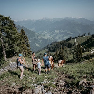 Wanderung auf der Alm | © Urlaub am Bauernhof/ Nadia Jabil