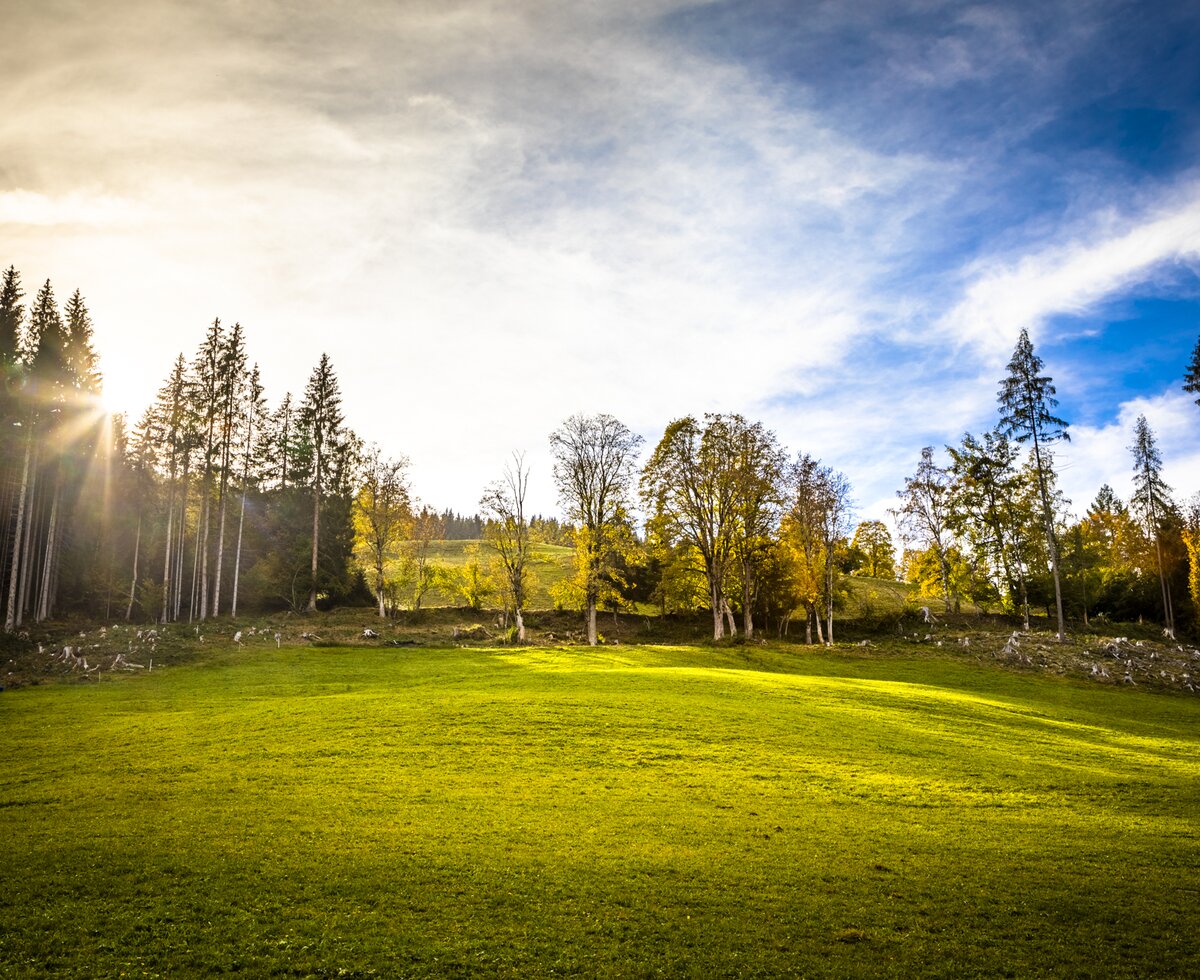 Sonnenstrahlen, Eisenhut in Hüttau, Salzburger Land | © Urlaub am Bauernhof Salzburger Land / Bernd Suppan Sonnenstrahlen, Eisenhut in Hüttau, Salzburger Land | © Urlaub am Bauernhof Salzburger Land / Bernd Suppan