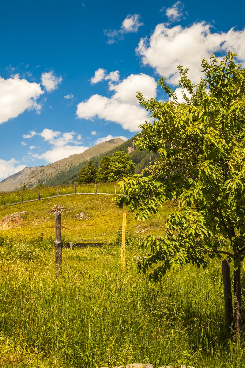 Lenzbauer Landschaftz Lessach, Salzburger Lungau | © Urlaub am Bauernhof / Bernd Suppan