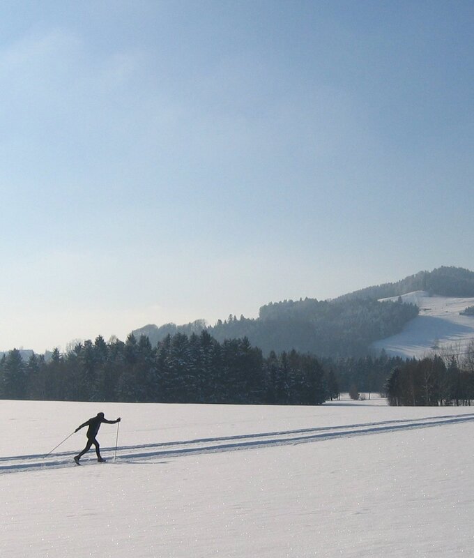 Langläufer auf einer Loipe im Salzburger Seenland, im Hintergrund die Hügellandschaft. | © Salzburger Seenland Tourismus