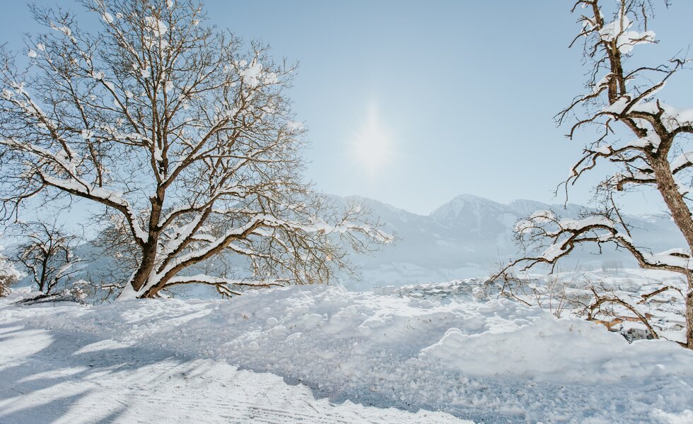 Winter Landschaft, Salzburger Sonnenterrasse | © TVB Sonnenterrasse