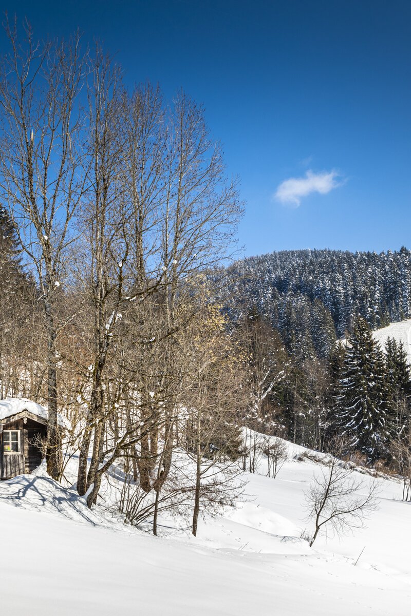 Winterlandschaft in der Region Tennengau, Krispl, Salzburger Land | © Urlaub am Bauernhof SalzburgerLand / Bernd Suppan