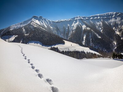 Fußstapfen, Winterlandschaft, Tennengau, Salzburger Land | © Urlaub am Bauernhof Salzburger Land / Bernd Suppan
