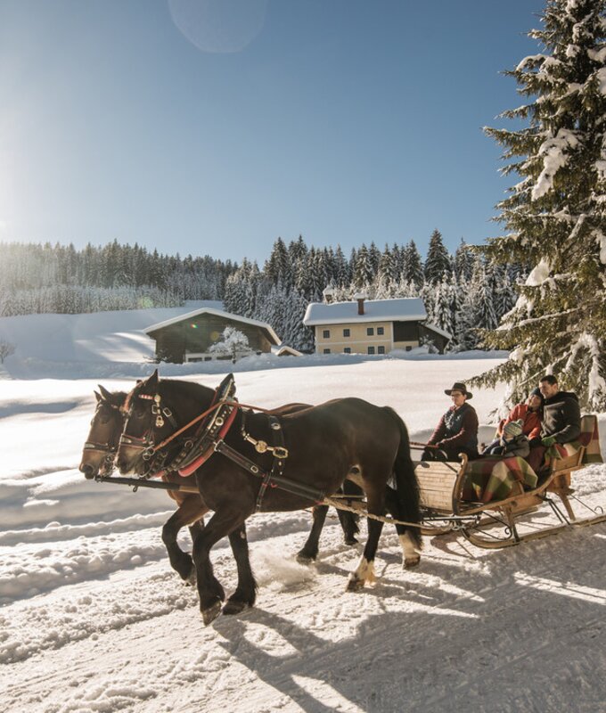 Pferdeschlittenfahrt Salzburger Land | © SalzburgerLand Tourismus/Michael Größinger