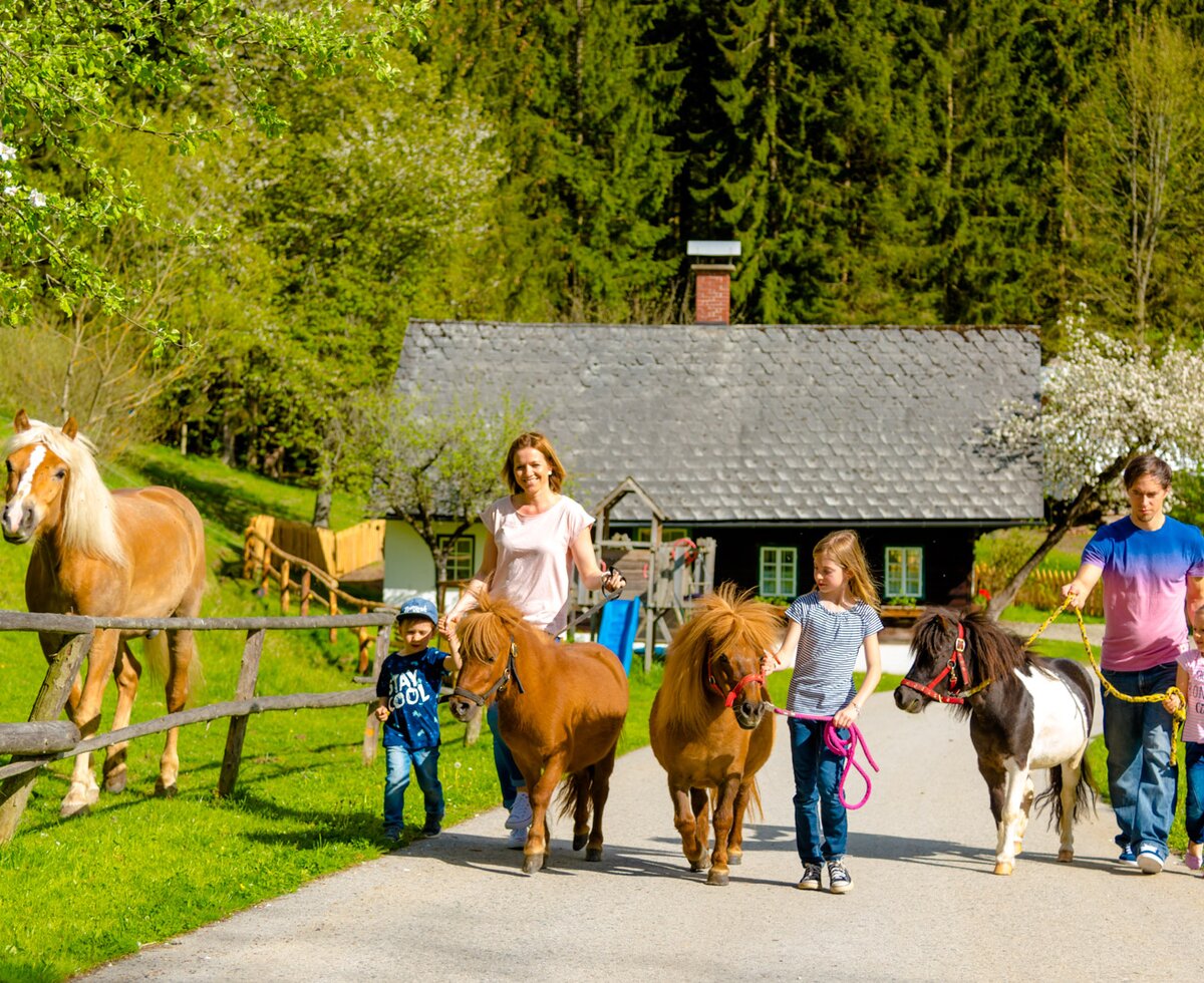 Familienwanderung mit Pferden am Bauernhof, Hochsteiermark, Steiermark | © Urlaub am Bauernhof Steiermark / Wolfgang Spekner Familienwanderung mit Pferden am Bauernhof, Hochsteiermark, Steiermark | © Urlaub am Bauernhof Steiermark / Wolfgang Spekner