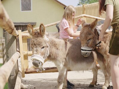 Mädchen striegeln und streicheln ihre Ponys, Forstbauer, Steiermark | © Urlaub am Bauernhof Steiermark / Daniel Gollner Mädchen striegeln und streicheln ihre Ponys, Forstbauer, Steiermark | © Urlaub am Bauernhof Steiermark / Daniel Gollner