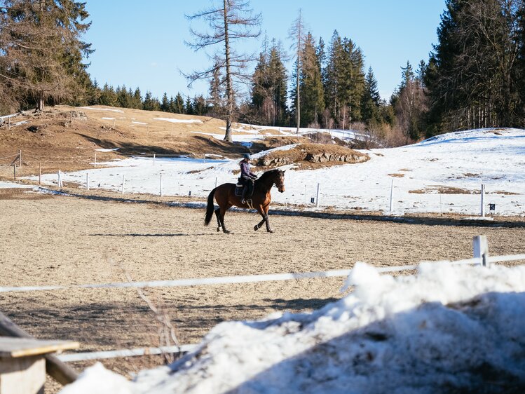 Reiterin am Reitplatz, Reitbauernhof Schilcher, Familie Plank, Steiermark | © Urlaub am Bauernhof Steiermark / Daniel Gollner