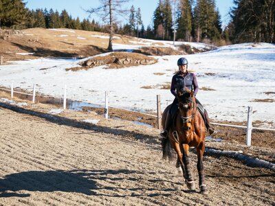 Reiterin am Reitplatz, Reitbauernhof Schilcher, Familie Plank, Steiermark | © Urlaub am Bauernhof Steiermark / Daniel Gollner Reiterin am Reitplatz, Reitbauernhof Schilcher, Familie Plank, Steiermark | © Urlaub am Bauernhof Steiermark / Daniel Gollner