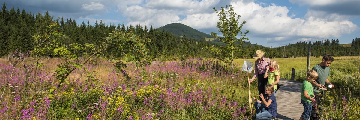 Familie bei einer Naturparkwanderung und erkunden der Pflanzenwelt | © TRV Oststeiermark / Bernhard Bergmann