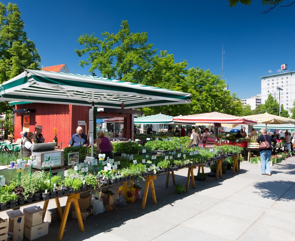 Bllick auf die Stände am Bauernmarkt  Lendplatz, Graz, Steiermark | © Graz Tourismus / Harry Schiffer