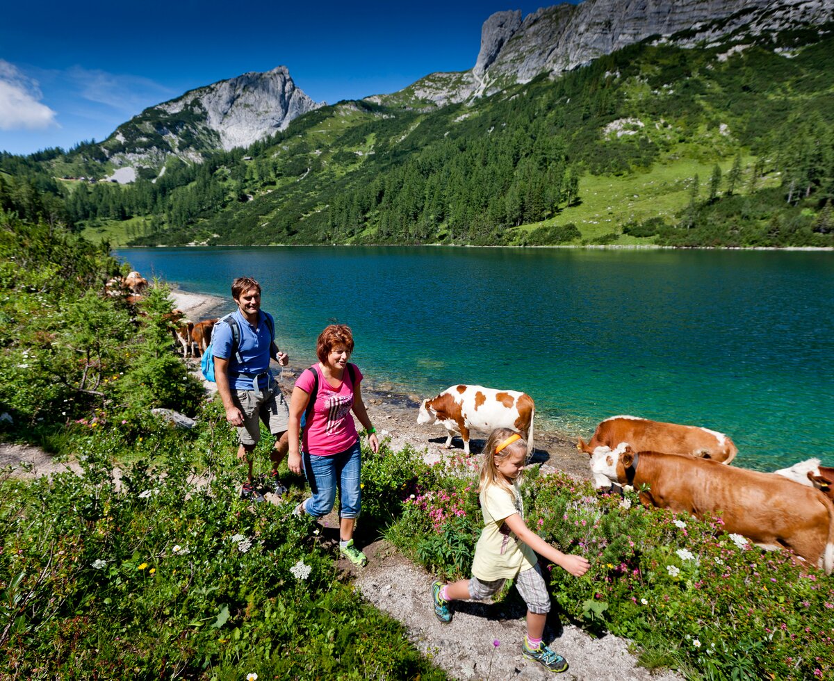 Familie beim Wandern auf der Tauplitzalm, Ausseerland-Salzkammergut, Steiermark | © TRV Ausseerland-Salzkammergut / Tom Lamm