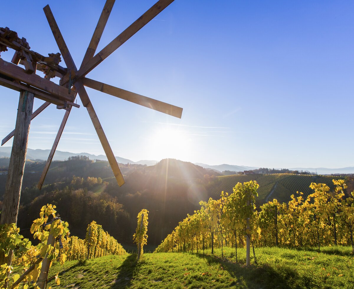 Weingärten im Herbst mit Klapotitz, Süd-West-Steiermark, Steiermark | © Steiermark Tourismus / Harry Schiffer Herbstliche Weingärten und Weinhänge mit einem Klapotitz, Süd-West-Steiermark, Steiermark | © Steiermark Tourismus / Harry Schiffer