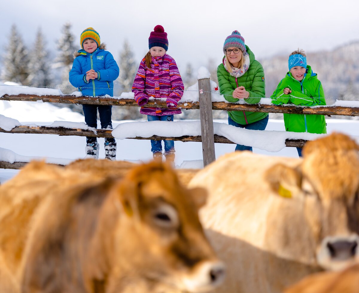 Mutter und Kinder blicken vom Zaun aus auf die Kühe im Winter, Urlaubsregion Murau-Murtal, Steiermark | © Urlaub am Bauernhof Steiermark / Wolfgang Spekner Mutter und Kinder stehen beim Zaun und schauen auf die Kühe, die auch im Winter rausgehen, Urlaubsregion Murau-Murtal, Steiermark | © Urlaub am Bauernhof Steiermark / Wolfgang Spekner