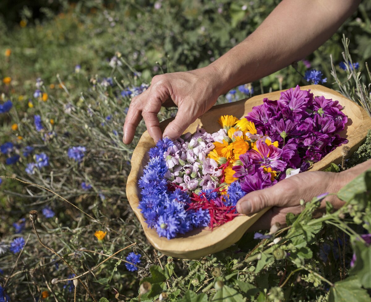 Blüten werden in der Schale gesammelt | © Urlaub am Bauernhof Tirol / Lisa Hörterer