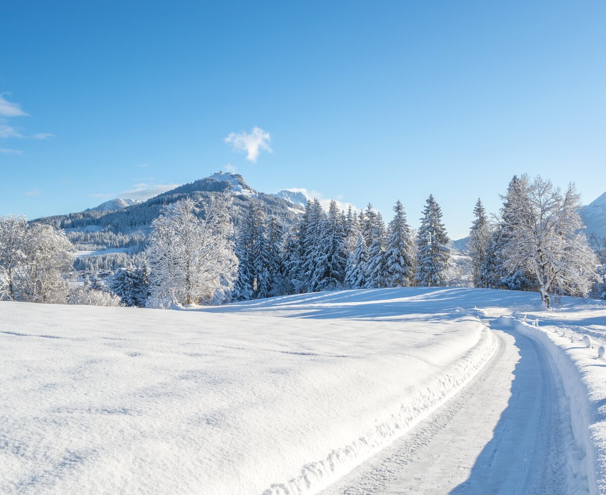 Winterlandschaft Fieberbrunn | © TVB PillerseeTal/Helmut Lackner Winterlandschaft Fieberbrunn | © TVB PillerseeTal/Helmut Lackner