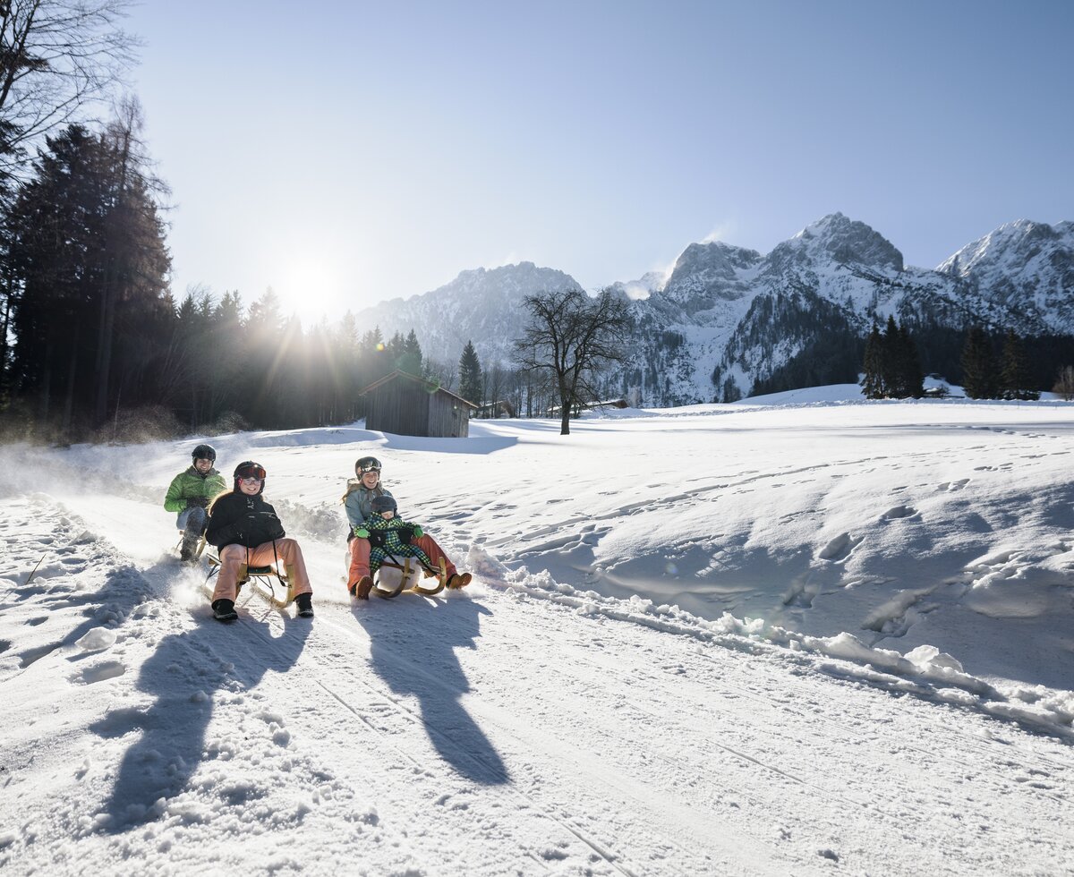 Rodeln Aschinger Alm | © TVB Kufsteinerland/ Max Draeger