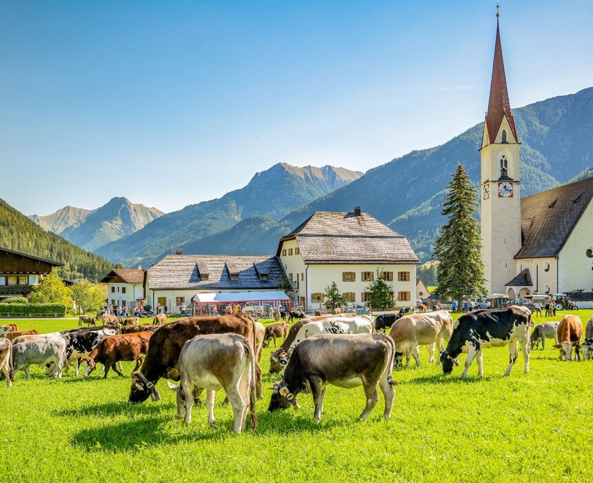 Lechtal Kühe | © ©Lechtal Tourismus