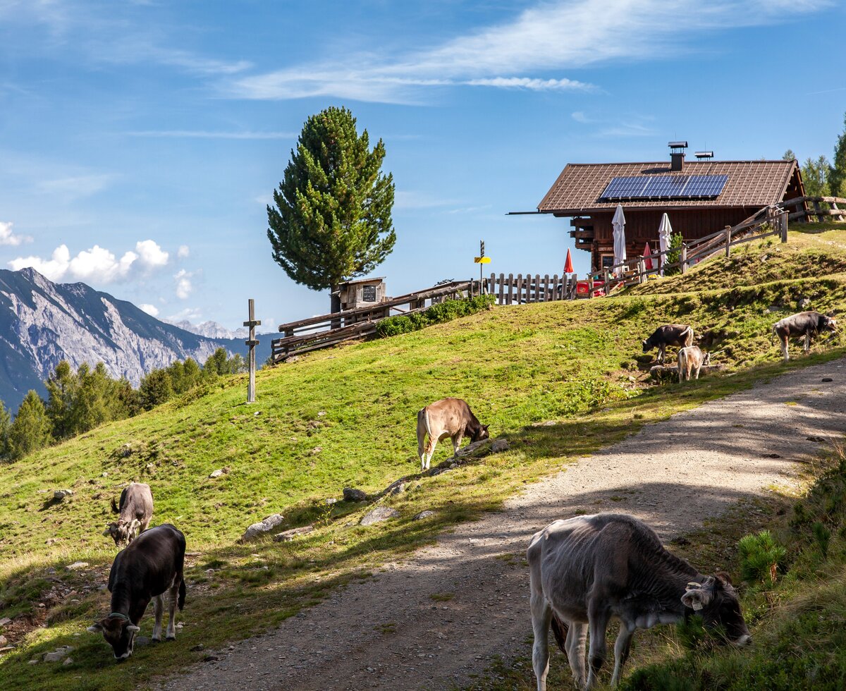 Leiner Alm | © TVB Pitztal/ Chris Walch (Breonix Foto-Design) Leiner Alm | © TVB Pitztal/ Chris Walch (Breonix Foto-Design)