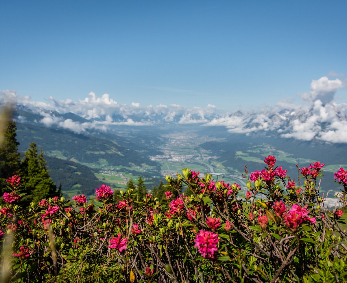 © TVB SilberregionKarwendel Ausblick Kellerjoch | © TVB SilberregionKarwendel
