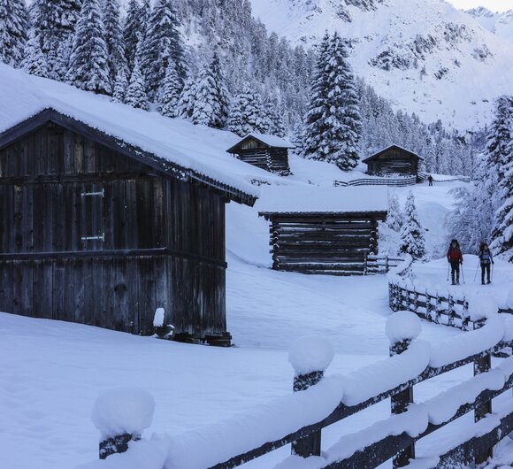 Schneeschuhwanderung  | © Urlaub am Bauernhof in Tirol 