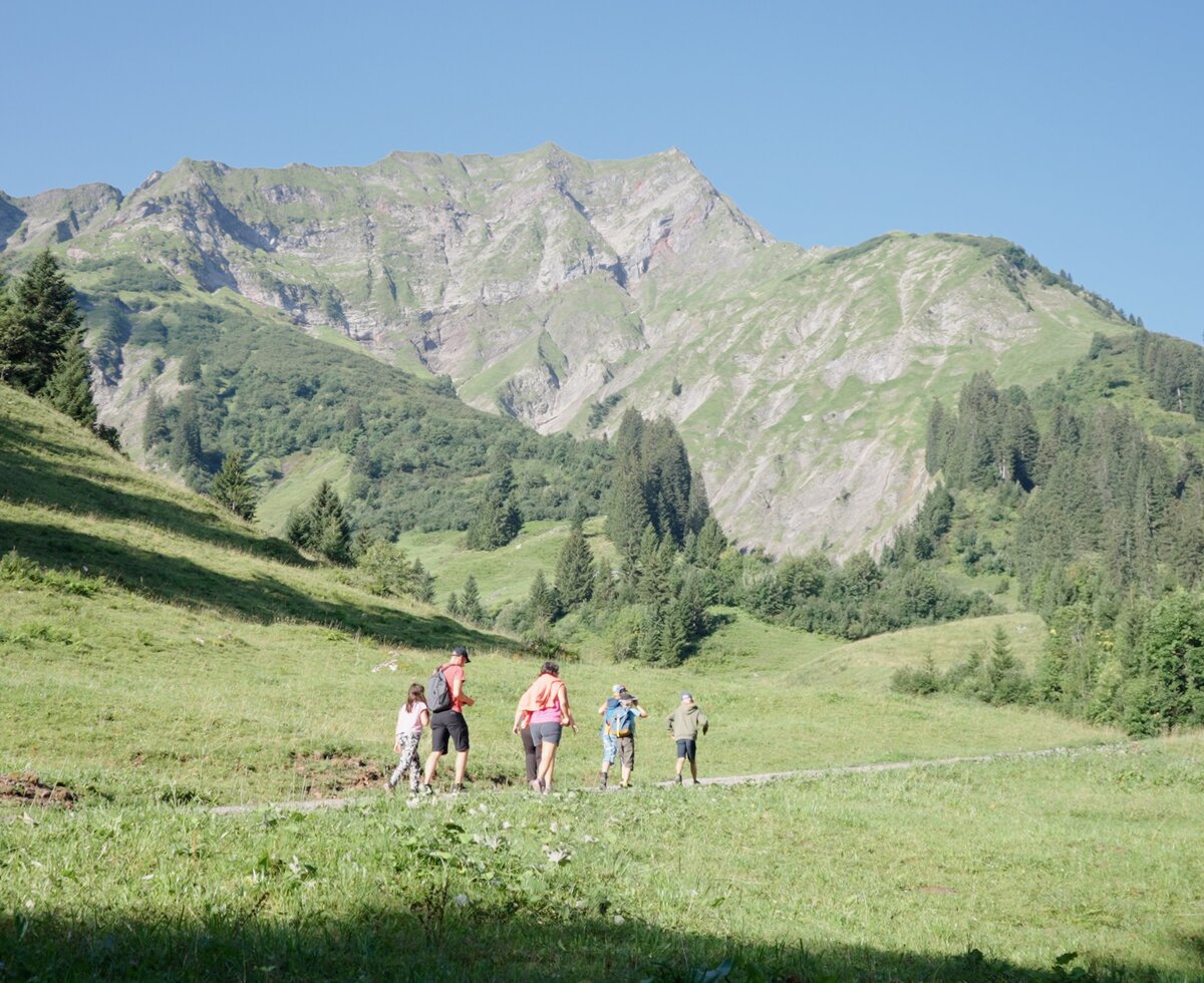 Wandern im Alpgebiet der Alpe Felle | © Urlaub am Bauernhof / Daniel Gollner Wandern im Alpgebiet der Alpe Felle | © Urlaub am Bauernhof / Daniel Gollner