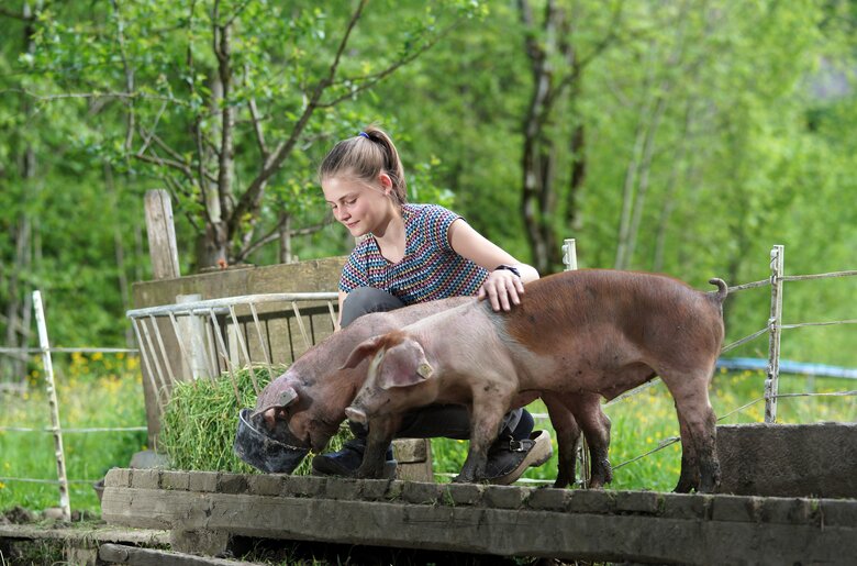 Mädchen füttert 2 Schweine | © Urlaub am Bauernhof Vorarlberg / Ludwig Berchtold