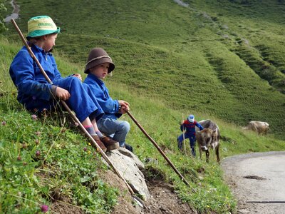 Kinder beim Kühe hüten auf der Alpe | © Urlaub am Bauernhof Vorarlberg / Ludwig Berchtold