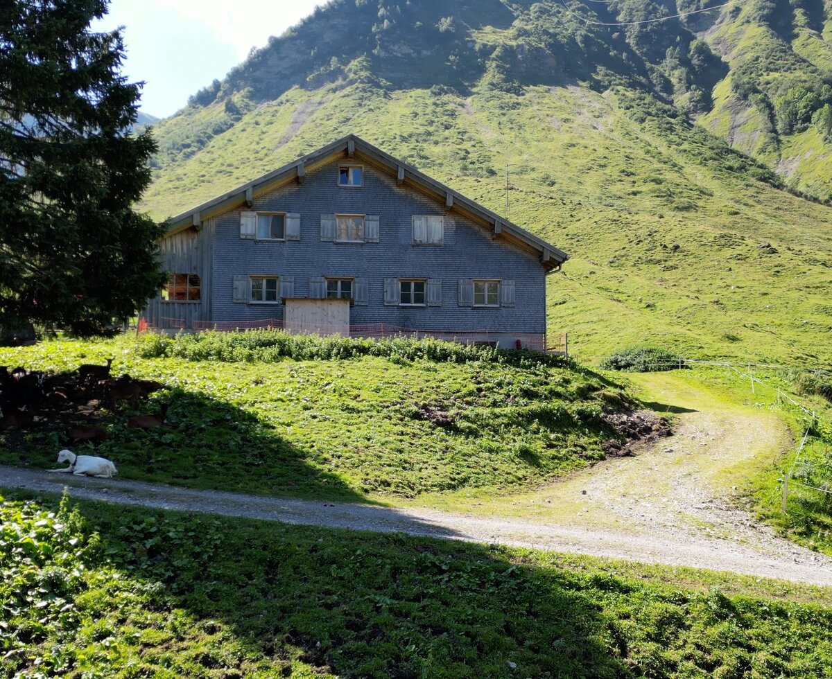 Im Wandergebiet Warth Schröcken | © Urlaub am Bauernhof / Daniel Gollner Im Wandergebiet Warth Schröcken | © Urlaub am Bauernhof / Daniel Gollner
