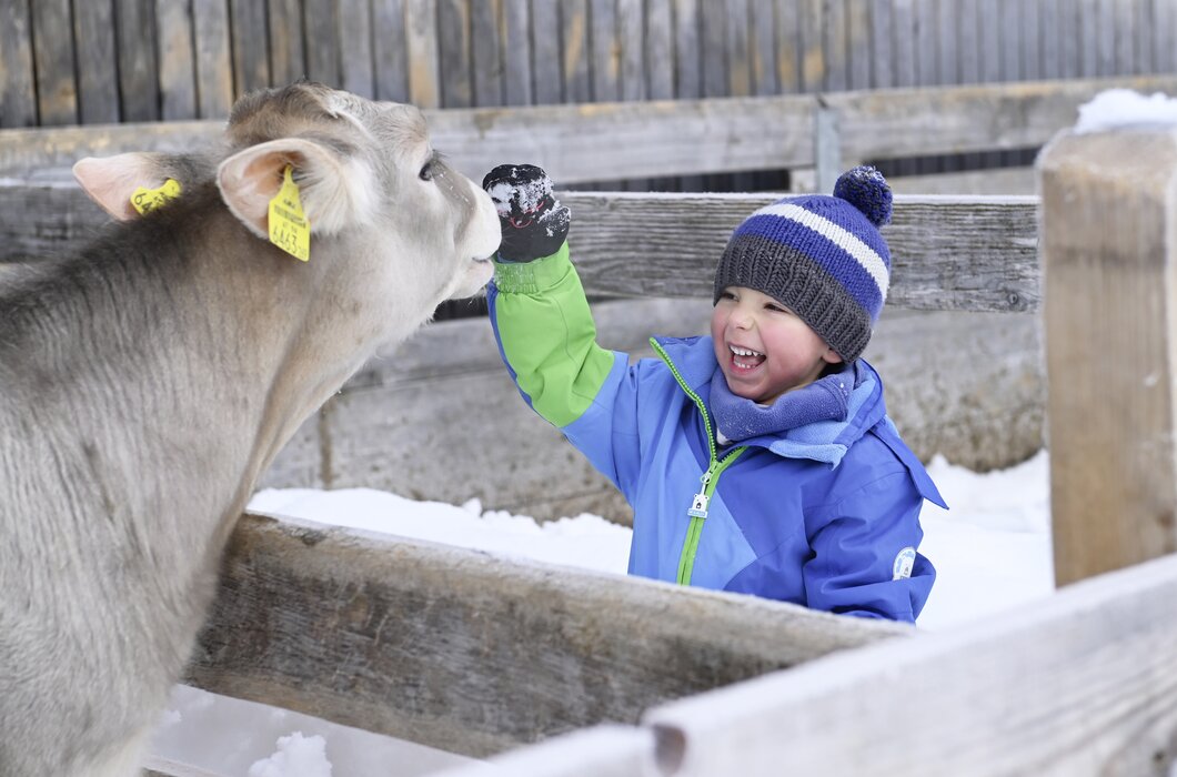 Ein kleiner Junge streichelt ein Kalb im Winter | © Urlaub am Bauernhof / Andreas Künk
