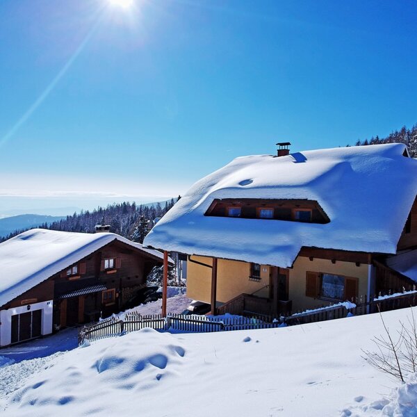 Skiing Chalet Pleschinhof