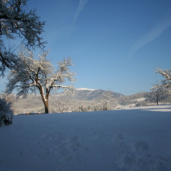 Ausblick hinterm Haus
