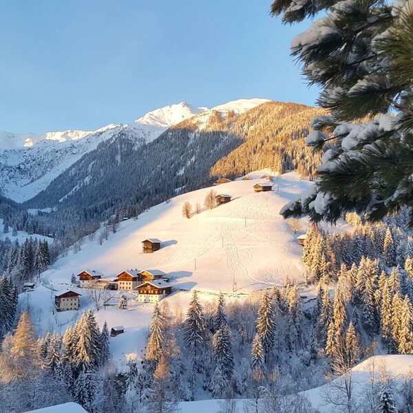 The snow-covered Carnic Alps, with the Farm House buildings nestled among pine forests.