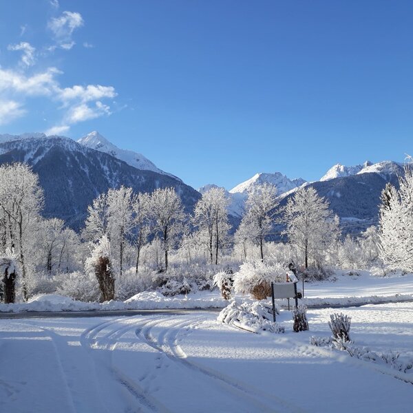 Winter view from the Farm House, featuring snow-covered trees and mountains under a clear blue sky.