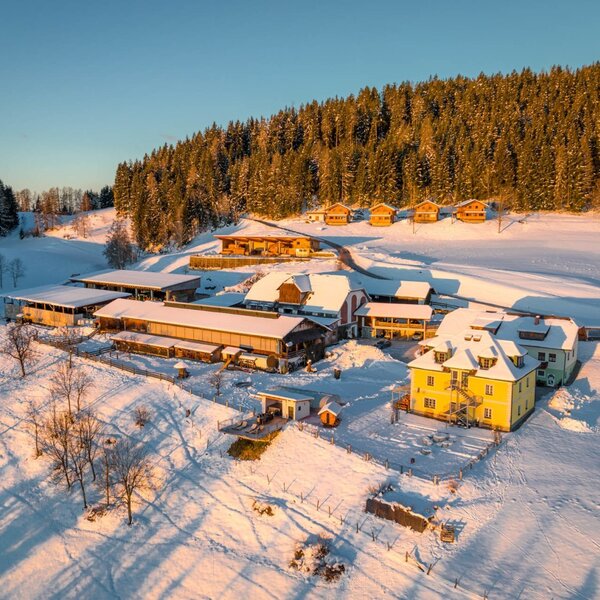 Adventure farm Steinerhof in winter