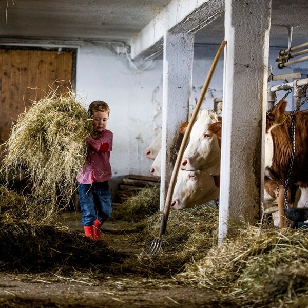 Children diligently help with feeding