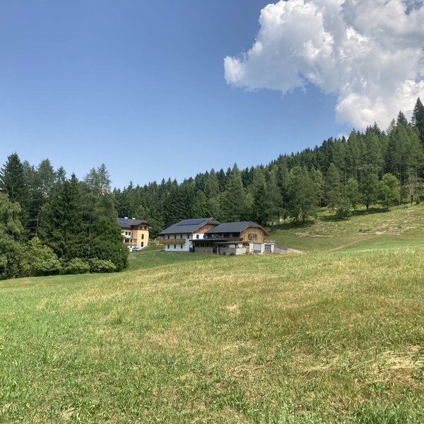 Courtyard view from the west
