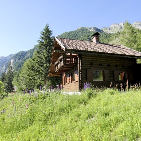 The wooden Alpine Hut features a balcony and window shutters, situated on a grassy hill with trees and mountains in the background.
