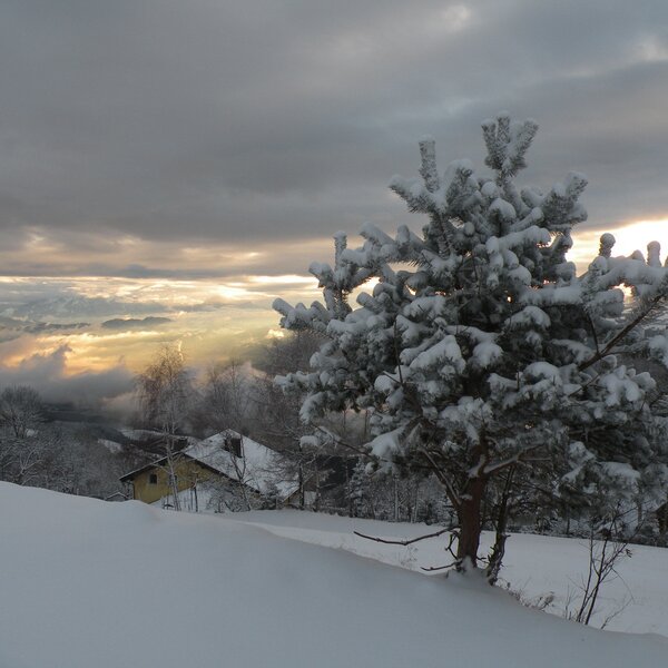 Winterlicher Ausblick vom Bauernhof über das Tal und die Berge, mit einem verschneiten Baum im Vordergrund.