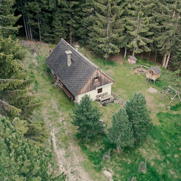 The Alpine Hut, surrounded by dense evergreen forest, features outdoor seating and a children's play area with a swingset and playhouse.