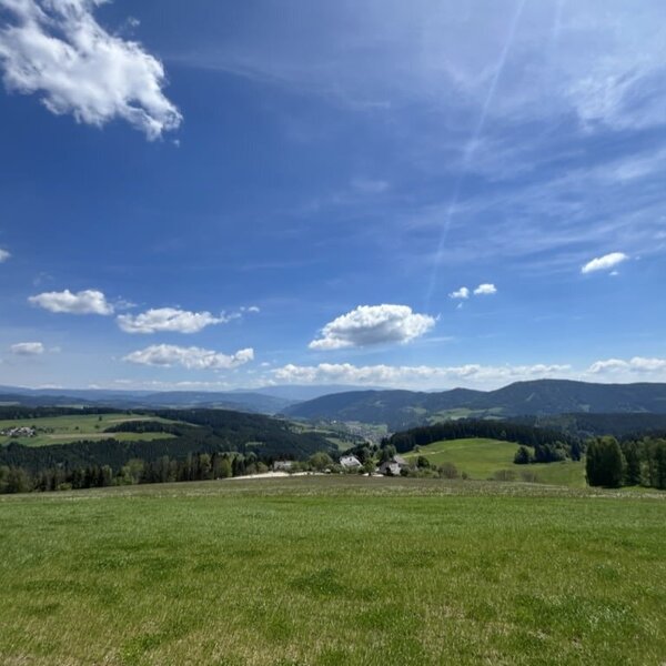 Expansive view from the farmhouse over green fields, forests, and the surrounding hilly landscape under a blue sky.