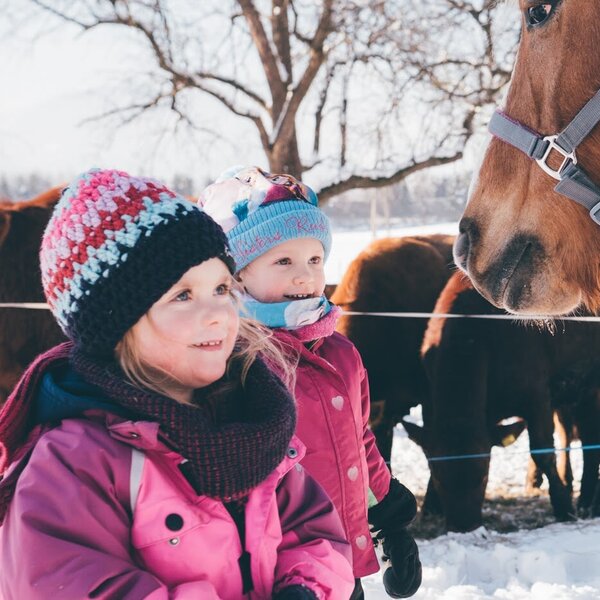 Children with a horse and cows at the Farm House in winter.