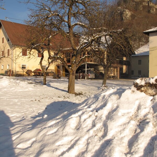 The exterior of the Farm House during winter, with snow-covered grounds, bare trees, and mountains in the background.