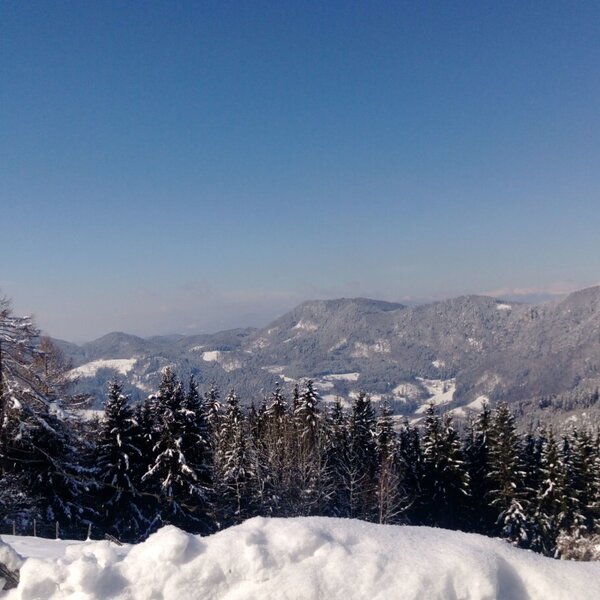 The winter mountain landscape surrounding the vacation rental, featuring snow-covered trees and a clear blue sky.