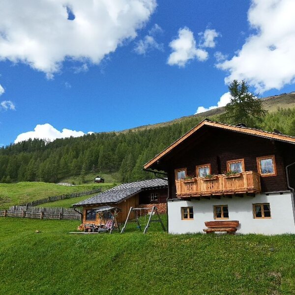 Die Almhütte mit Balkon und einer Schaukel, umgeben von Grashängen und Wald.