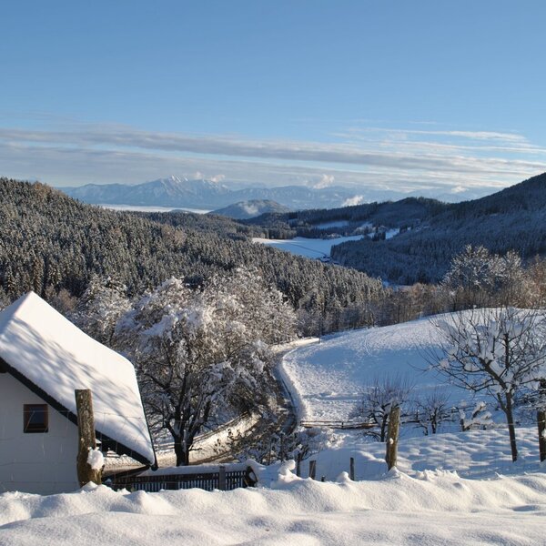 Winterliche Umgebung des Bauernhofs mit schneebedeckten Hügeln, Wäldern und Bergblick.