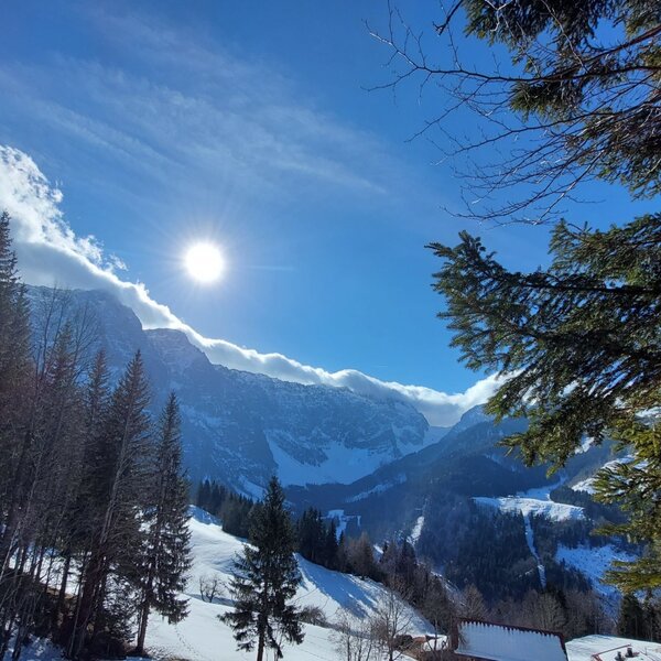 View of the snow-covered mountains and pine forests from the farmhouse on a sunny winter day.