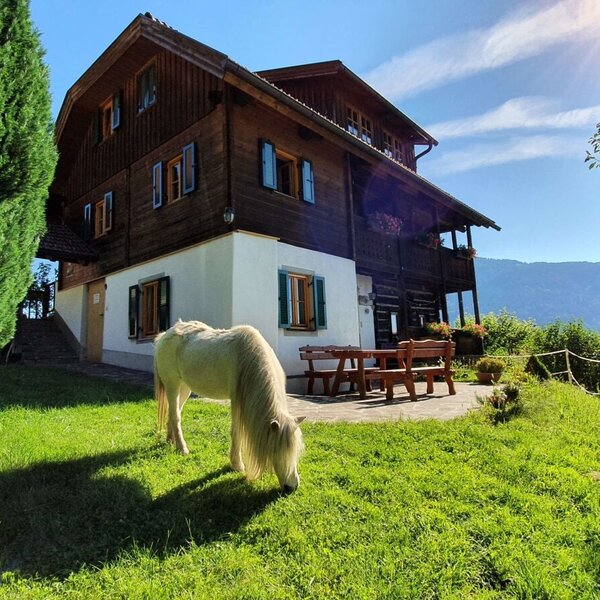 am Bauernhof