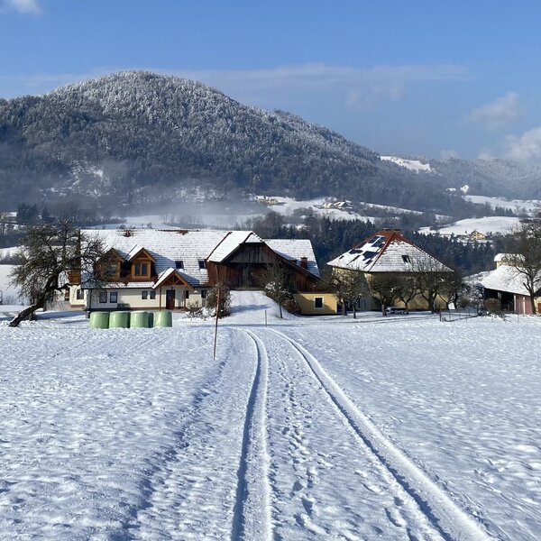 Winterlandschaft Tscharnighof
