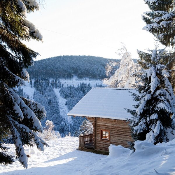 A wooden cabin on the Farm House property, covered in snow and surrounded by pine trees, set against a winter mountain backdrop.